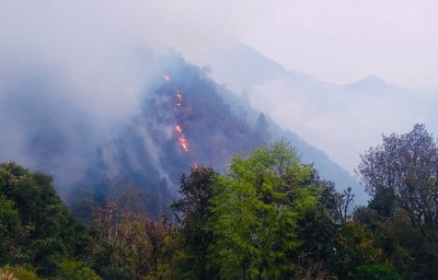 डढेलोका कारण दुनाटपरी बनाउने उद्योग संकटमा   